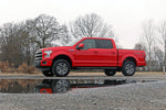 2 INCH LEVELING KIT LOADED STRUT | FORD F-150 2WD (2014-2022)